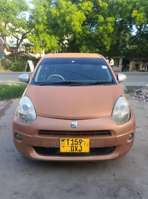 Toyota Passo 2010 Orange