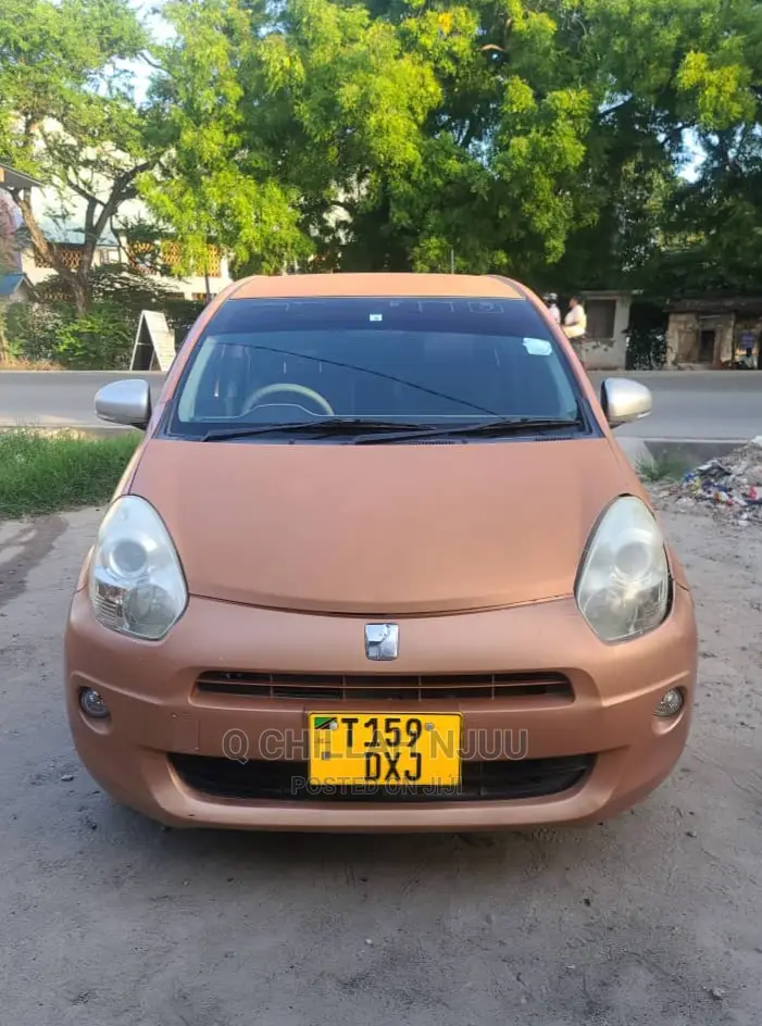 Toyota Passo 2010 Orange