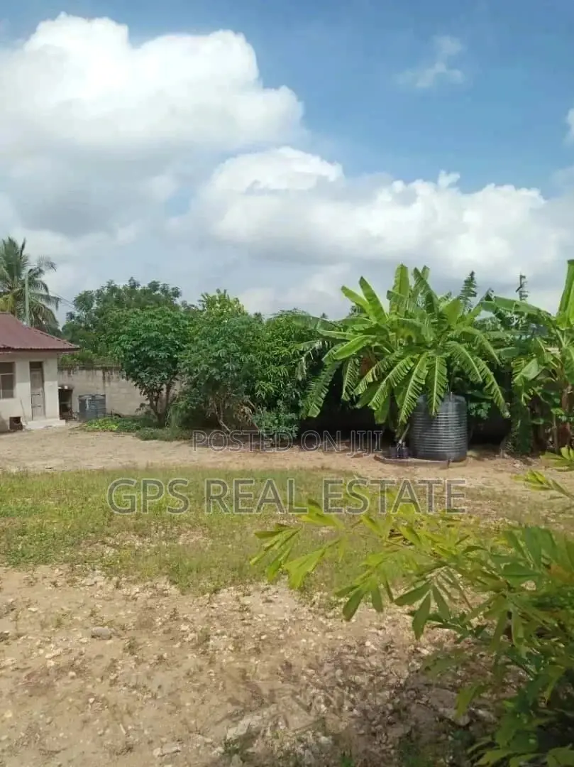 Big House In Goba For Sale