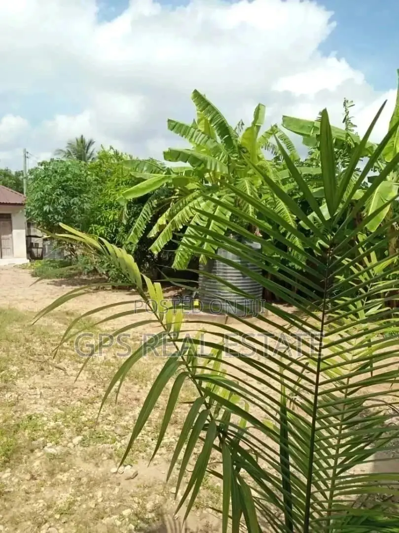Big House In Goba For Sale