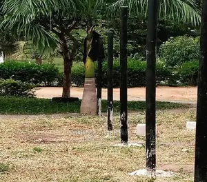 Farm Fencing