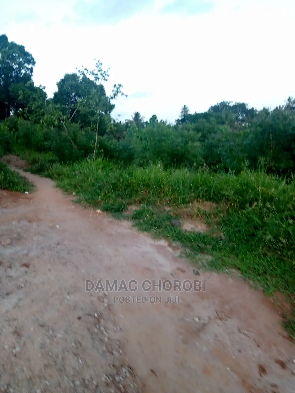 Plot for Sale Luguruni 930 for Sale