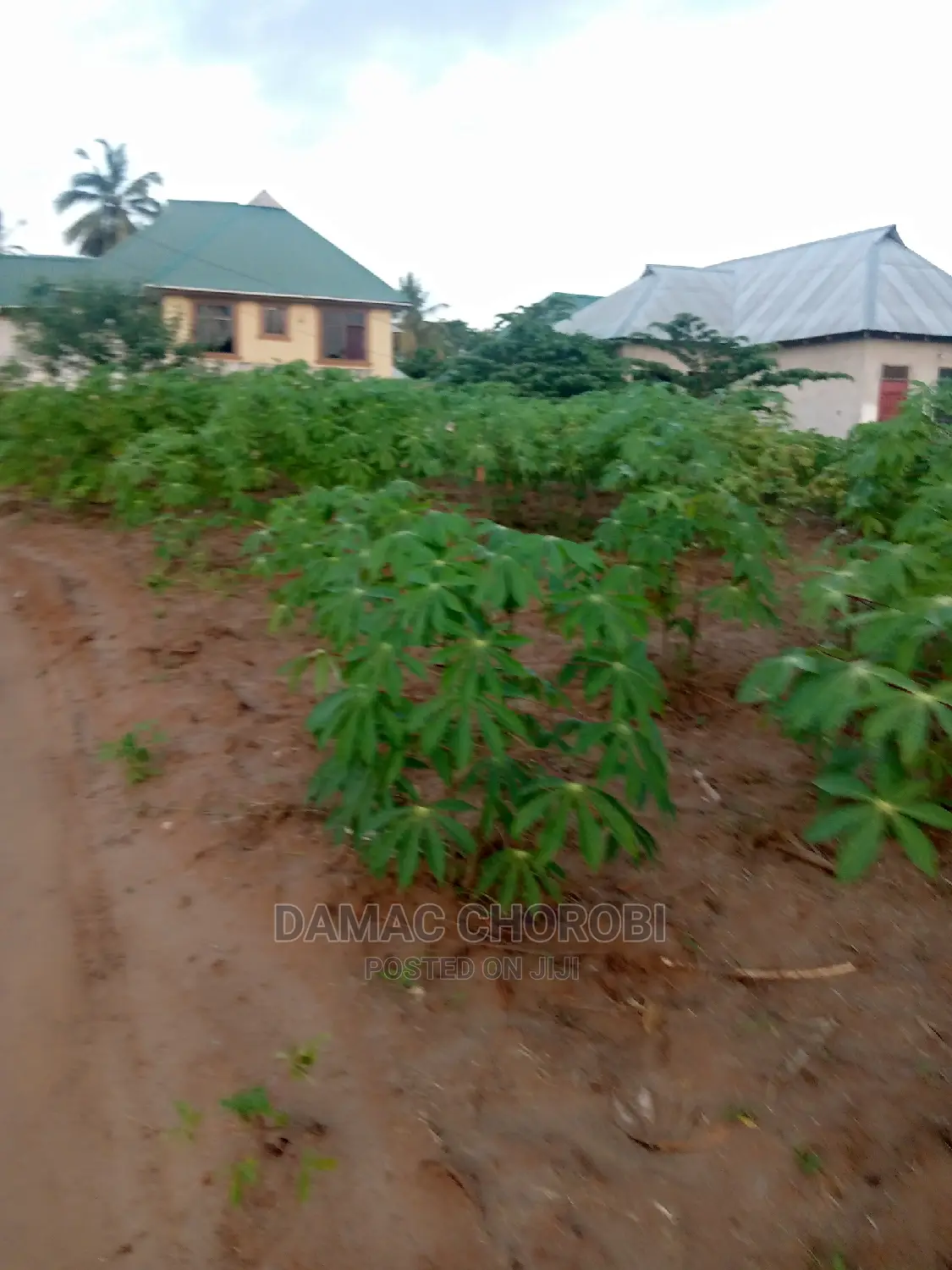 Plot for Sale Qmt 1060 Luguruni Mbezi