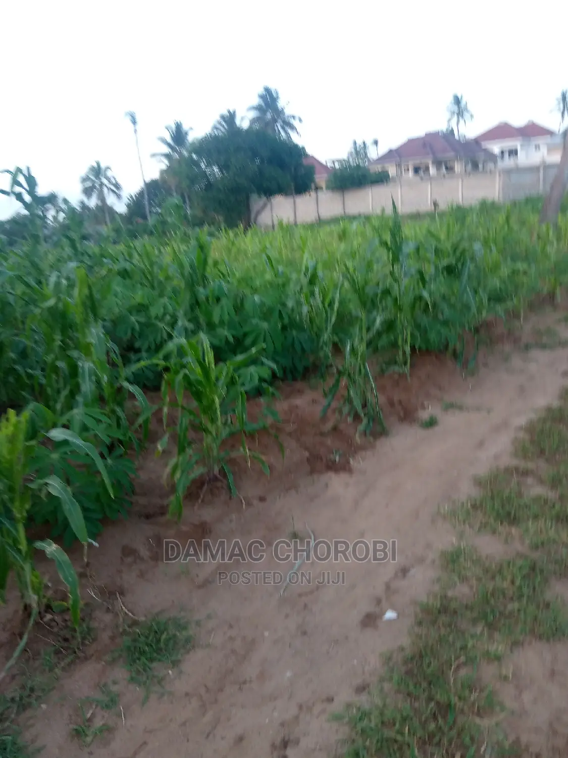 Kiwanja Qmt 1600 for Sale Luguruni Kibamba
