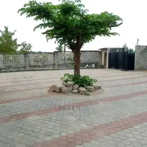 1bdrm Apartment in Kimara for Rent
