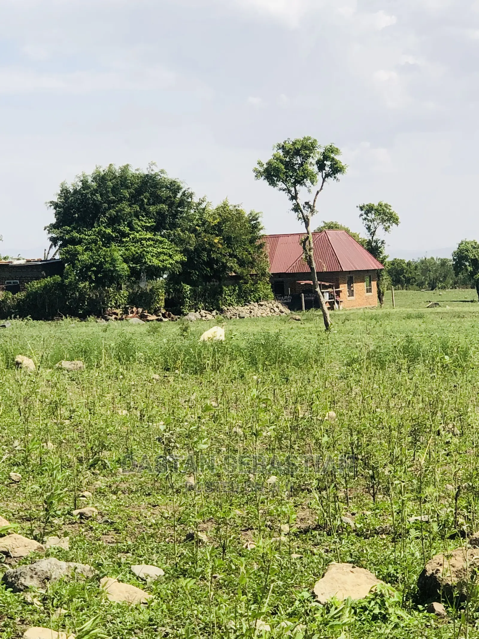 Tunakopesha Viwanja