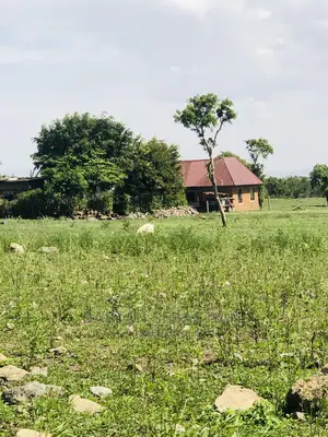 Tunakopesha Viwanja