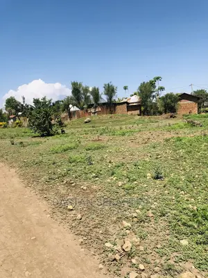 Tunakopesha Viwanja