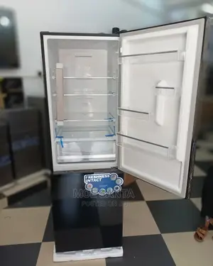 Boss Fridge 301 Nf