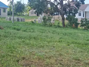 Kiwanja Cha Biashara Makaxi Kinauzwa Qmt 2000 Kibamba