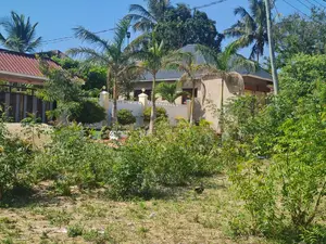 Kiwanja Kinauzwa Mivumoni