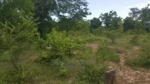 Shamba Bora Kwa Kilimo Linauzwa