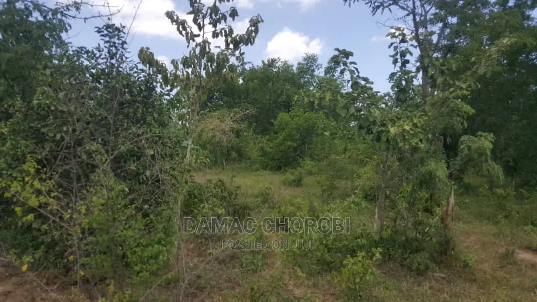 Shamba Bora Kwa Kilimo Linauzwa