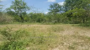 Shamba Bora Kwa Kilimo Linauzwa