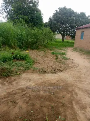 Mashamba Bora Kwa Kilomo Cha Mahindi Ufuta Matunda Na Minazi
