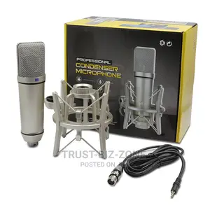 Professional Condenser Microphone