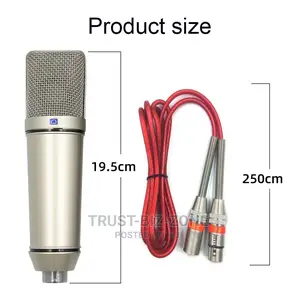 Condenser Microphone