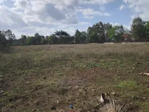 Half an Acre Plot for Sale at Kigamboni Dar