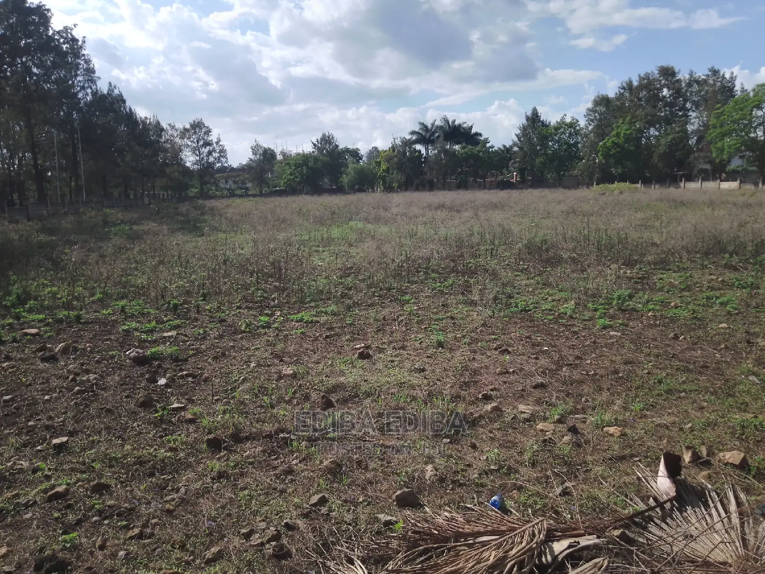 Half an Acre Plot for Sale at Kigamboni Dar