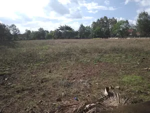 Half an Acre Plot for Sale at Kigamboni Dar