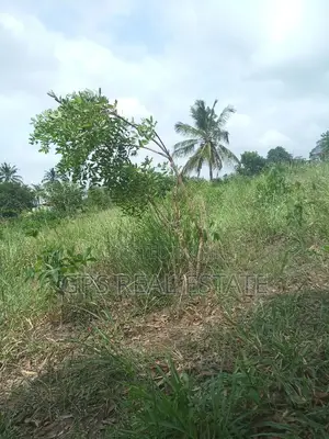 1 Acre for Sale at Pangani Kibaha.