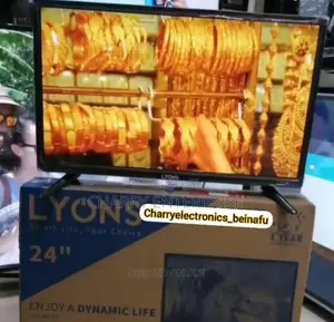LYONS 24 Inches High Quality Tv