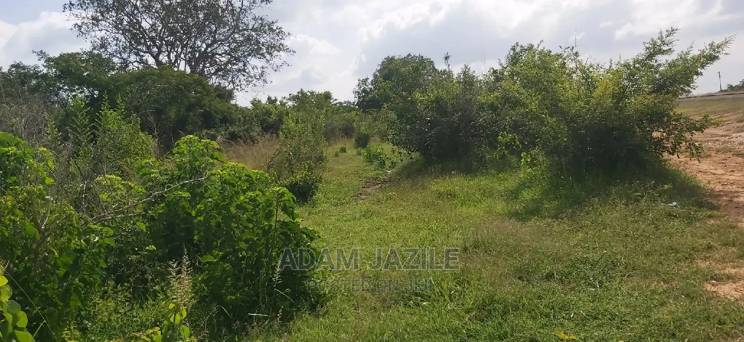 Shamba Linauzwa Pwani Bagamoyo
