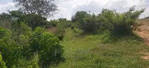 Shamba Linauzwa Pwani Bagamoyo