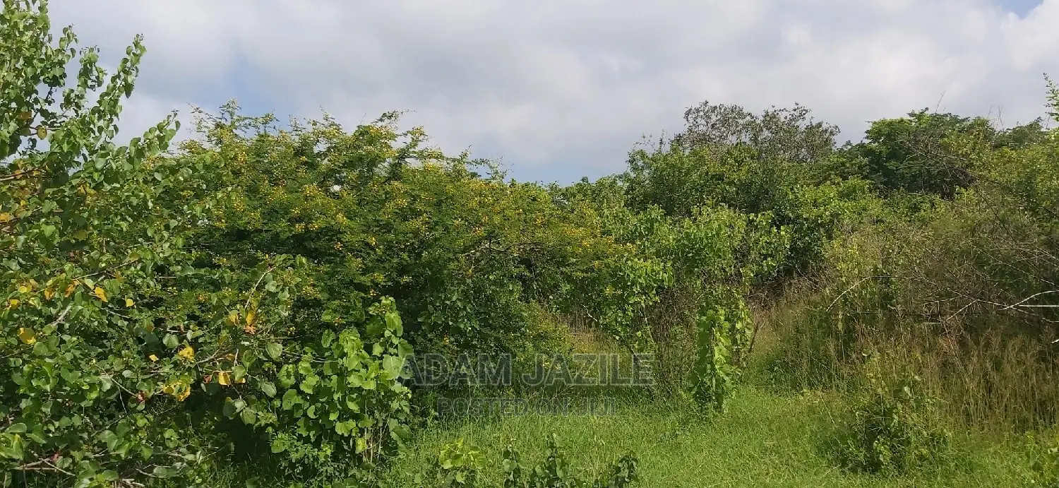 Shamba Linauzwa Pwani Bagamoyo