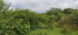 Shamba Linauzwa Pwani Bagamoyo