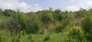 Shamba Linauzwa Pwani Bagamoyo
