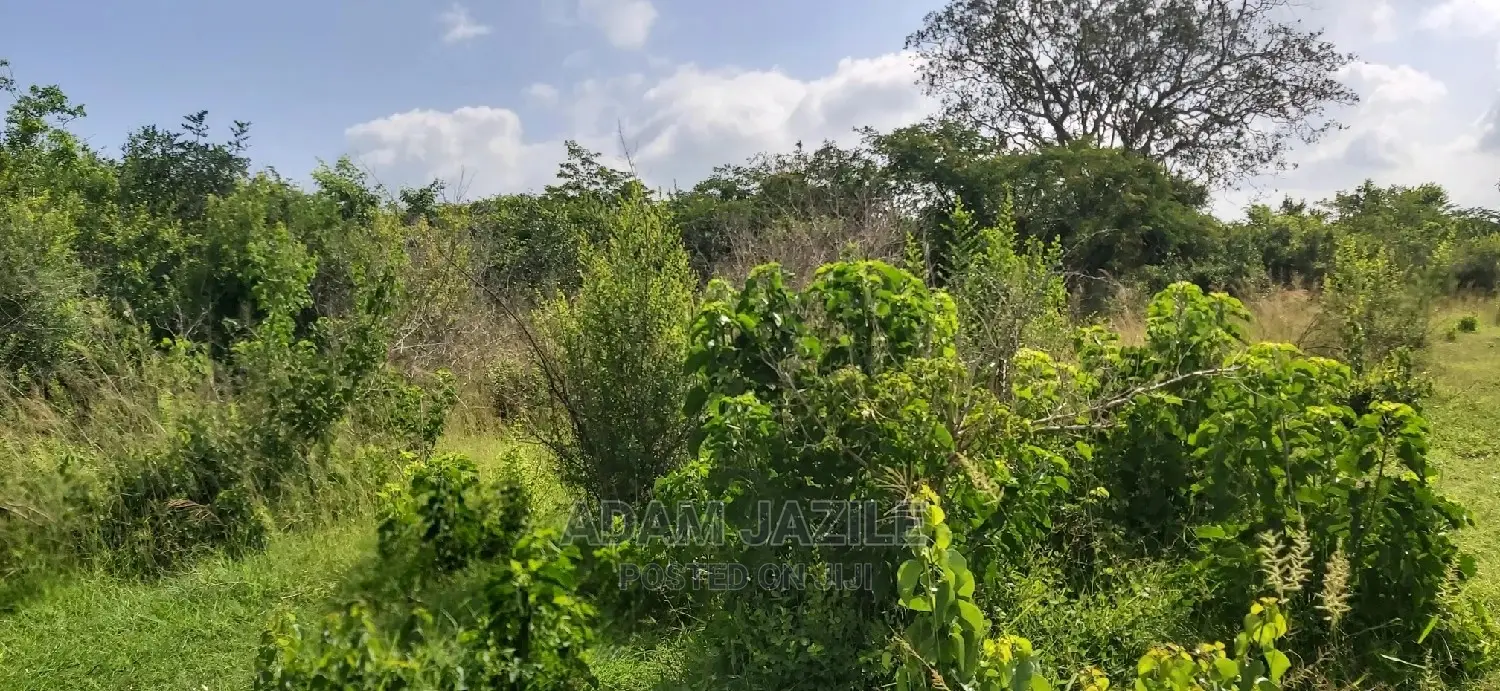 Shamba Linauzwa Pwani Bagamoyo