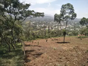 1 Acre of Land for Sale- Kwa Mrefuu,Arusha