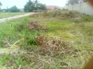 Kiwanja Kinauzwa Milioni 2 Na Nusu Ukonga.