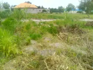 Kiwanja Kinauzwa Milioni 2 Na Nusu Ukonga.