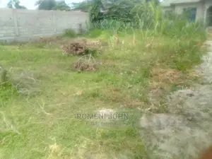 Kiwanja Kinauzwa Milioni Tatu Ukonga Viwege