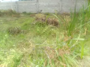 Kiwanja Kinauzwa Milioni Tatu Ukonga Viwege