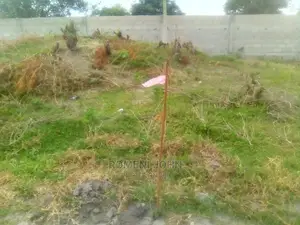 Kiwanja Kinauzwa Milioni Tatu Ukonga Viwege