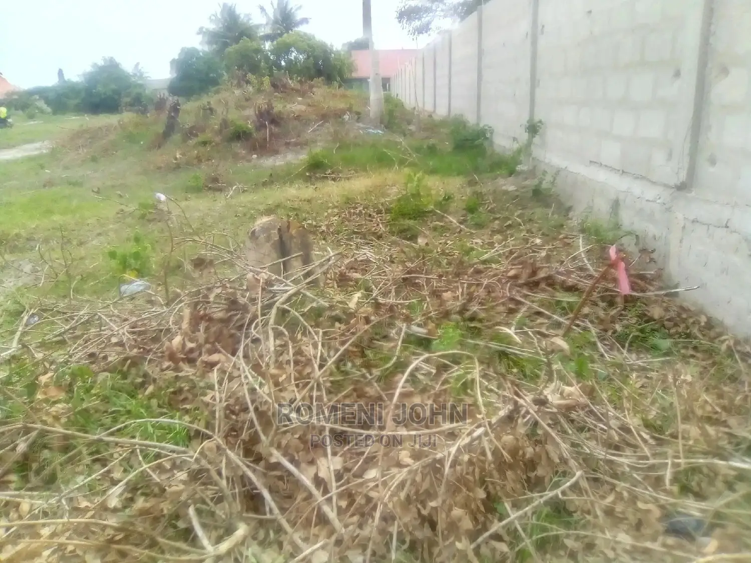 Kiwanja Kinauzwa Milioni Tatu Ukonga Viwege
