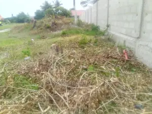 Kiwanja Kinauzwa Milioni Tatu Ukonga Viwege