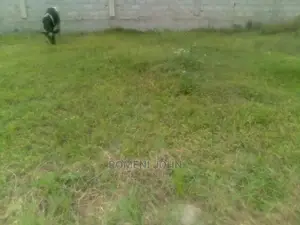 Kiwanja Kinauzwa Milioni 2 Na Laki Mbili Ukonga Viwege.