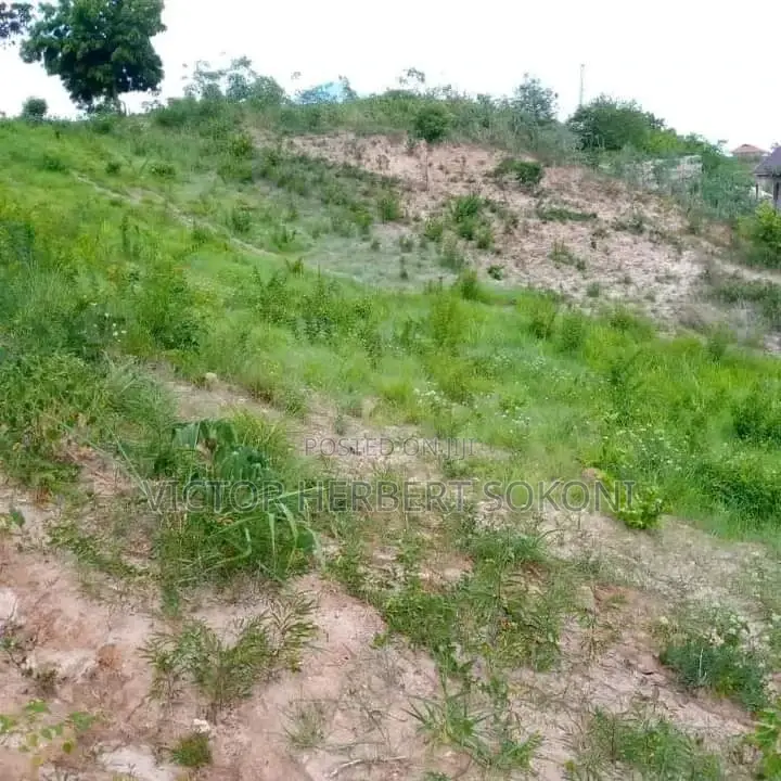 Kiwanja Nauza Kahama Mjini