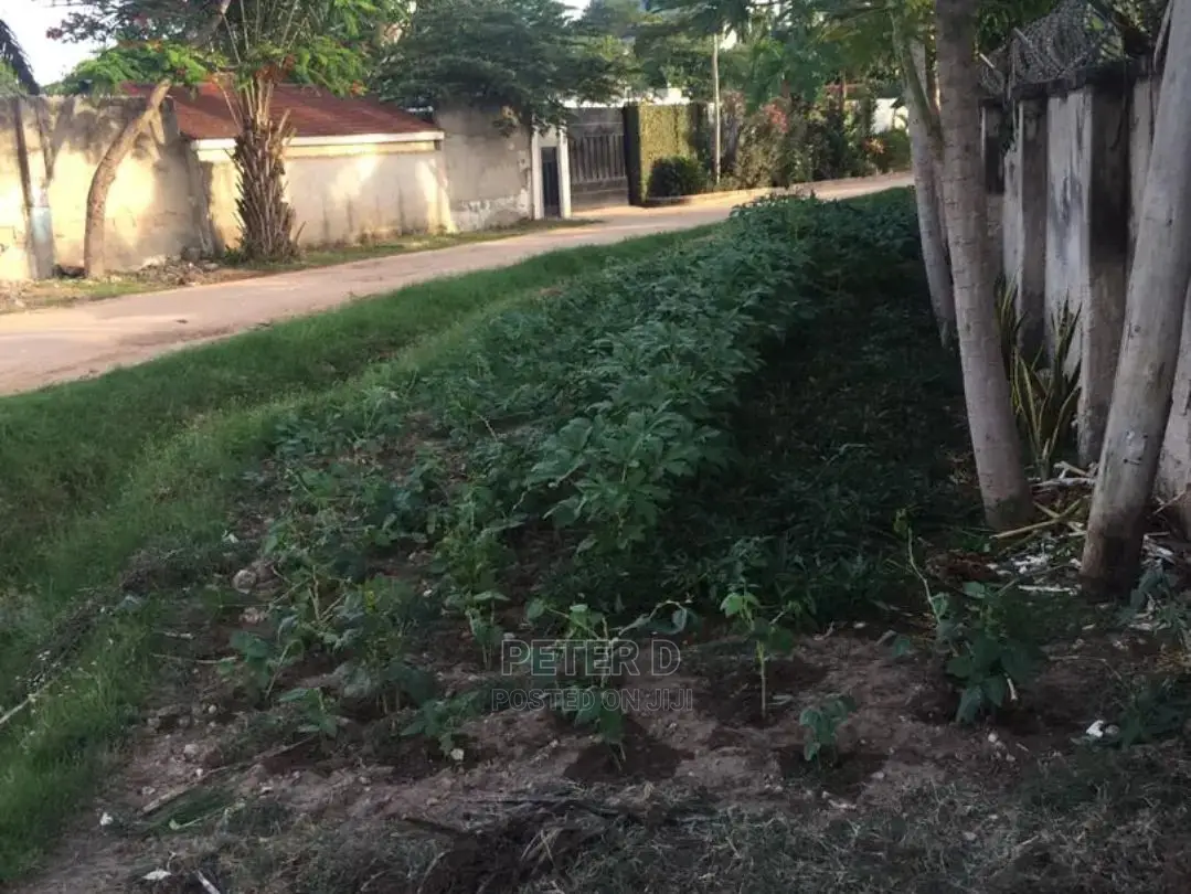 3bdrm House in Regent, Mikocheni for Sale