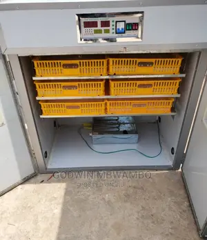 Tuna Mashine Za Kutotolesha Vifaranga [Automatic Incubator]