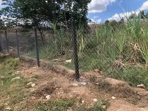 Fencing Posts