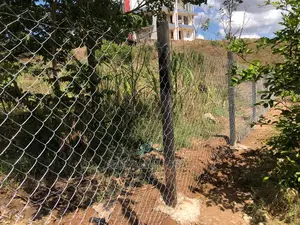 Fencing Posts
