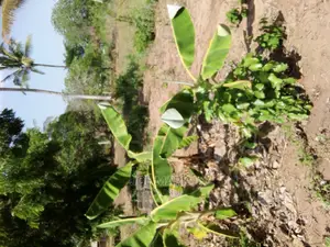 1 Acre for Sale,Kibaha
