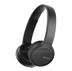 WH-CH510 Wireless Headphones With Microphone