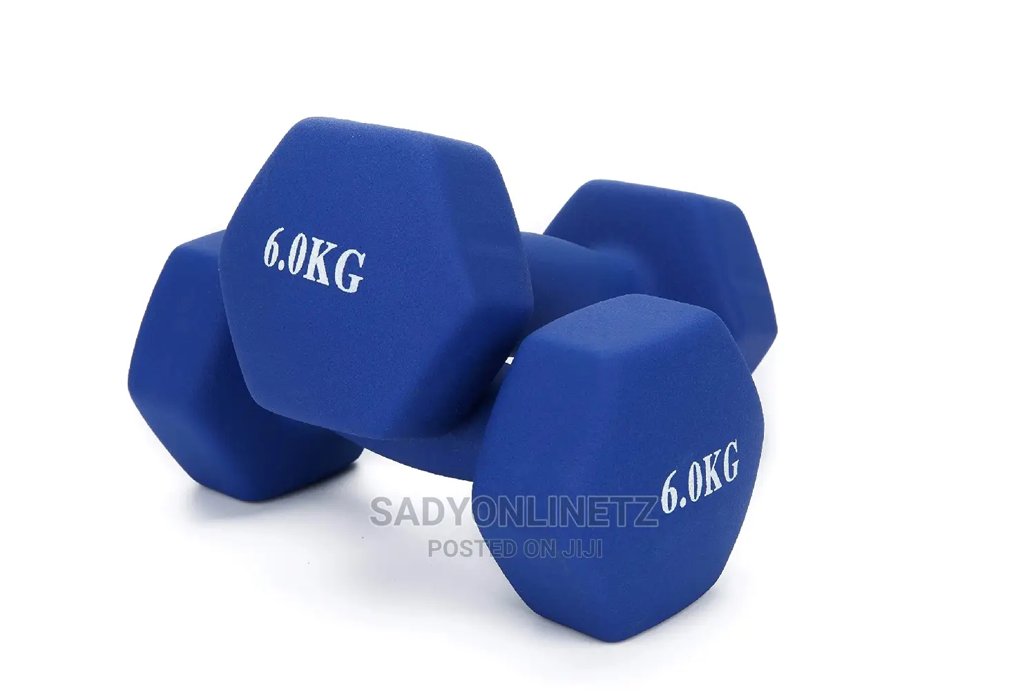 Vinly Dumbbells 6kg