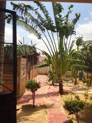 8bdrm House in Kijitonyama for Sale